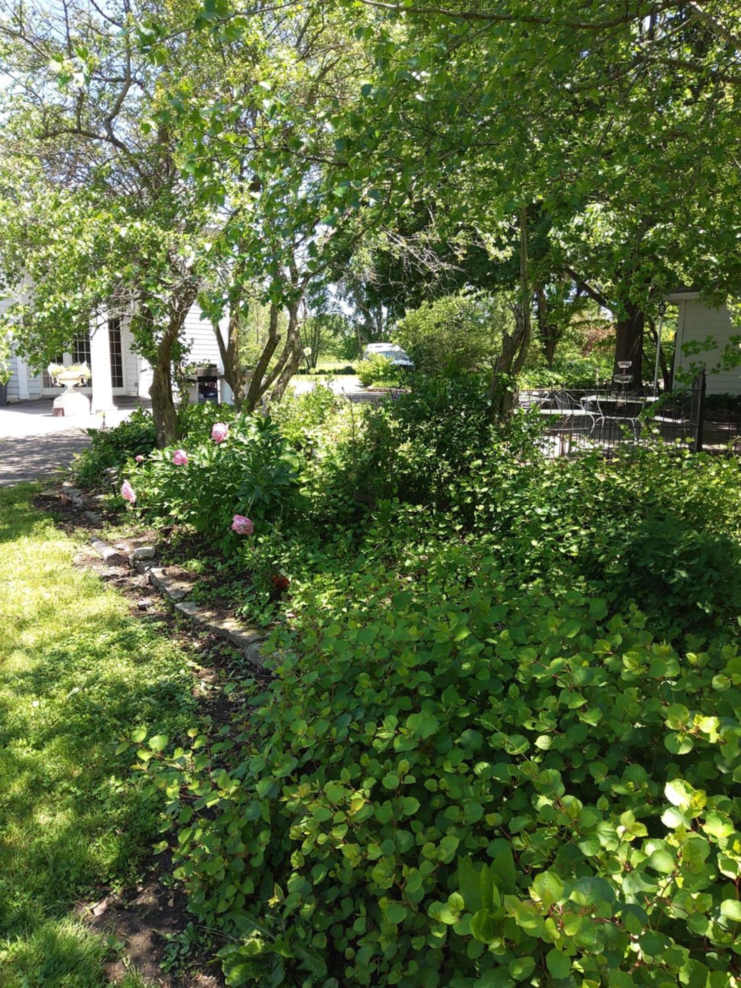 Inntiquity, A Country Inn Logansport Extérieur photo